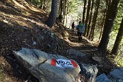 Rifugio Balicco, Bivacco Zamboni, Bocchetta di Budria, Monte Tartano il 29 ottobre 2016 - FOTOGALLERY